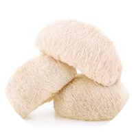Lion's Mane